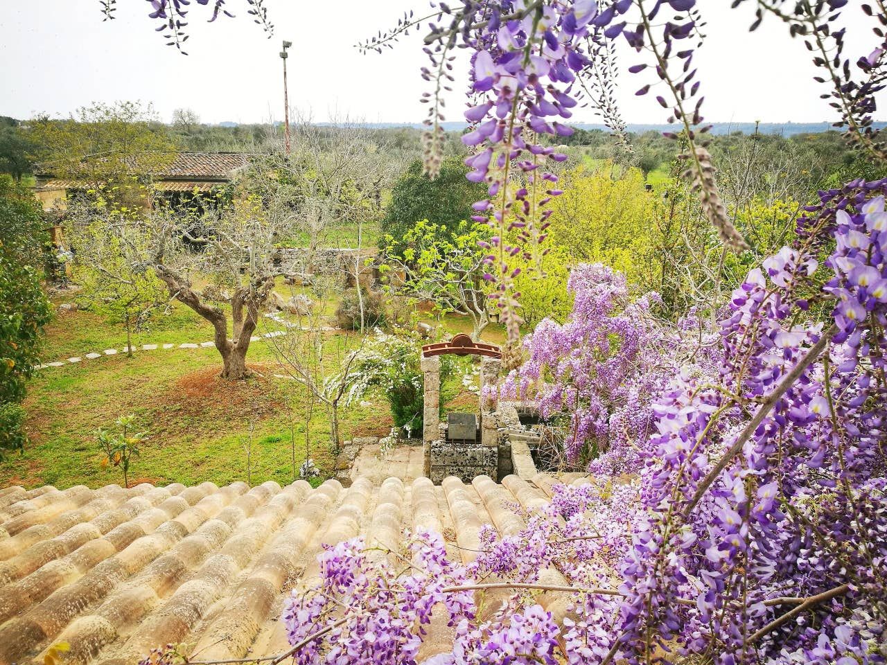 Masseria Borgo del Gallo - 4